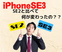 発売開始されたiPhoneSE3！SE2と何がどう違うの？？疑問にお答えします！