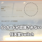 【Switch】SDカードが反応しないのでDL（ダウンロード）ができないよ…。